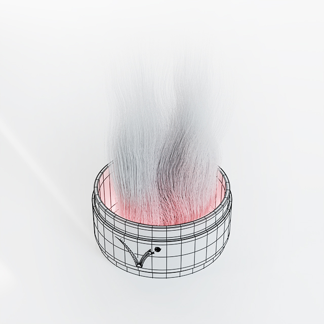 weekly render wireframe image of HairWaves